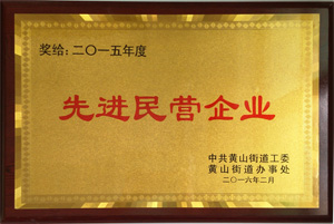 先進民營企業